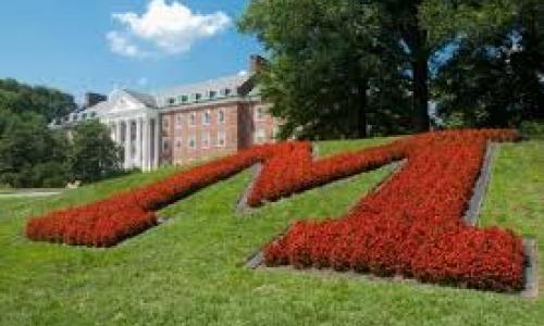 UMD